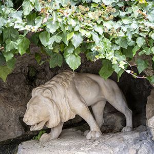 Image of Fontana del leone