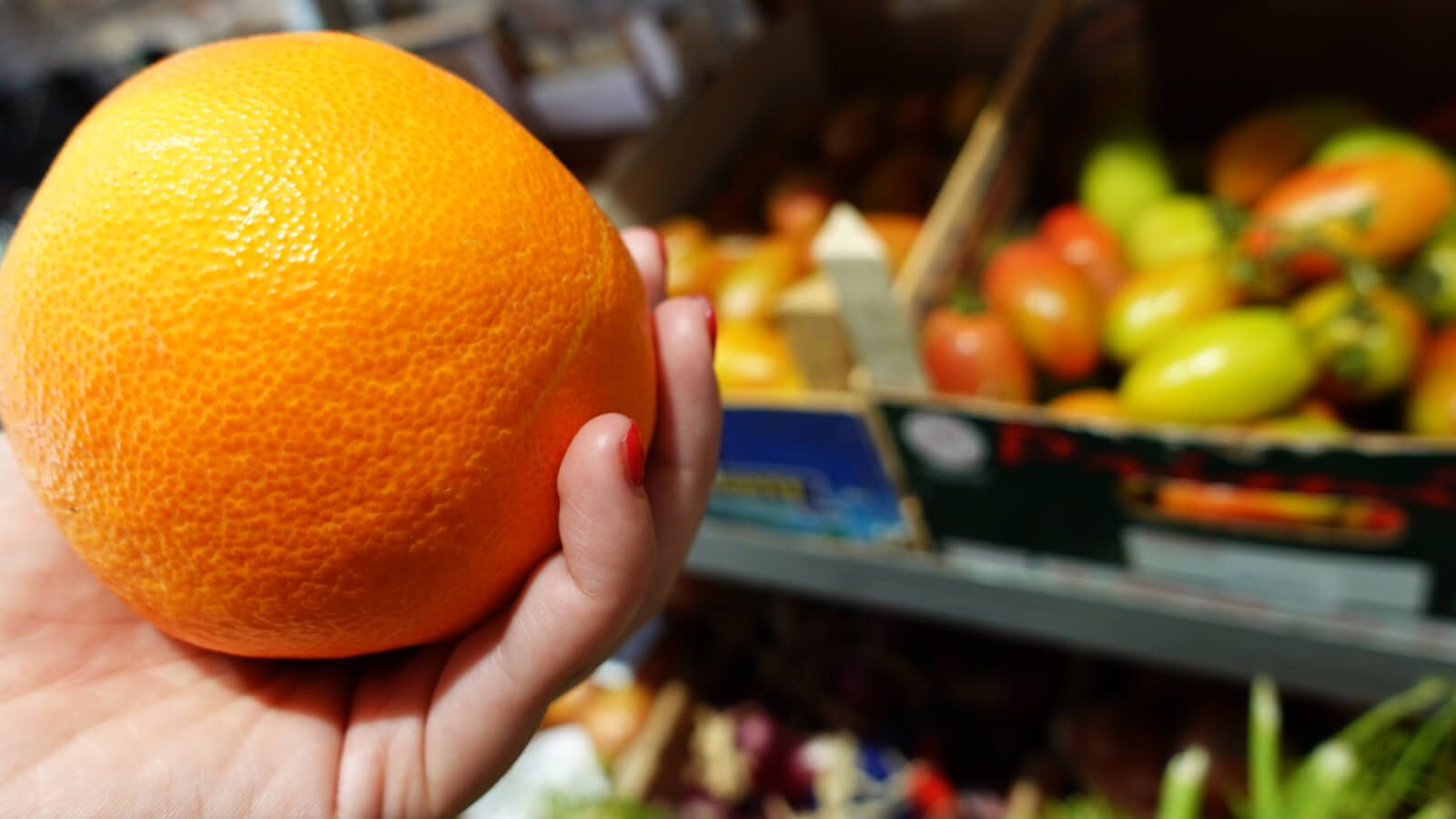 A hand holding an orange